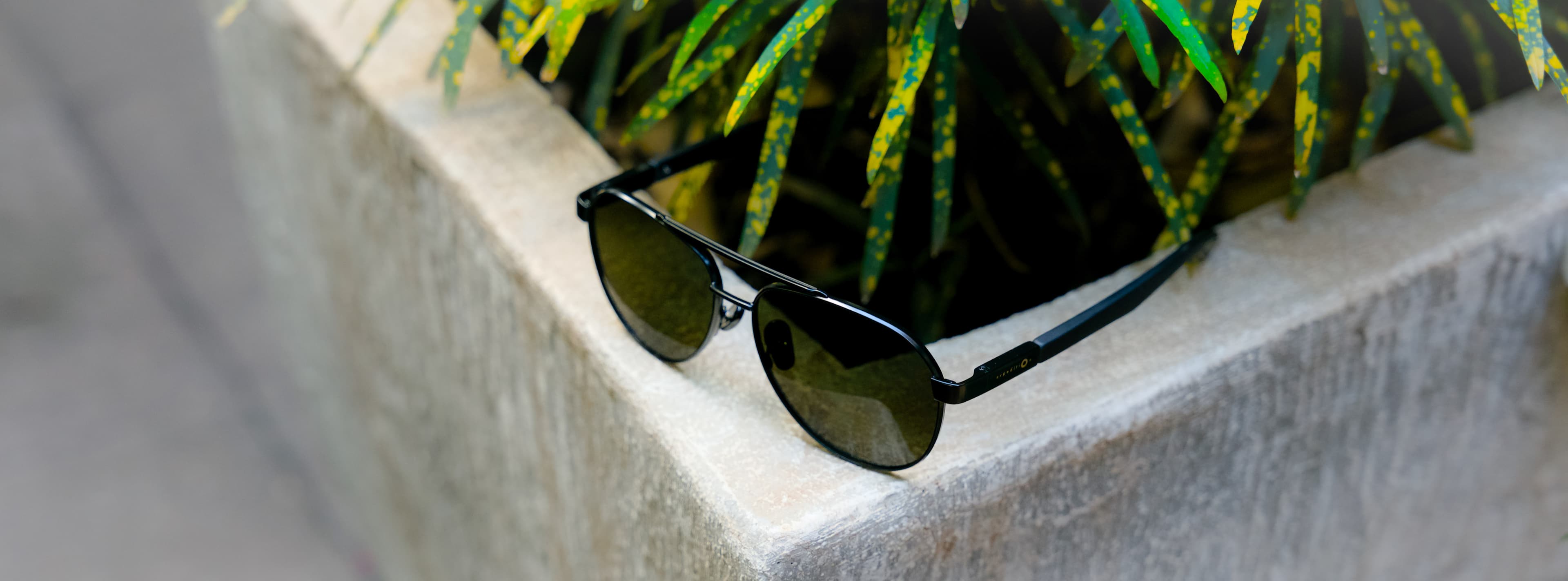 Aviator Classic - Image 1